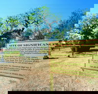 Boab Prison Tree - SA Accommodation