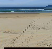 Bongil Beach - SA Accommodation