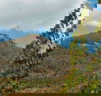 Burrowa-Pine Mountain National Park - SA Accommodation