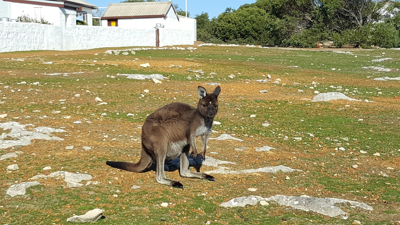Menzies SA SA Accommodation
