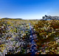 Capricorn Coast Pineapple Rail Trail - SA Accommodation
