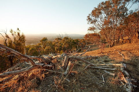 Chick Hill Walk - SA Accommodation 0