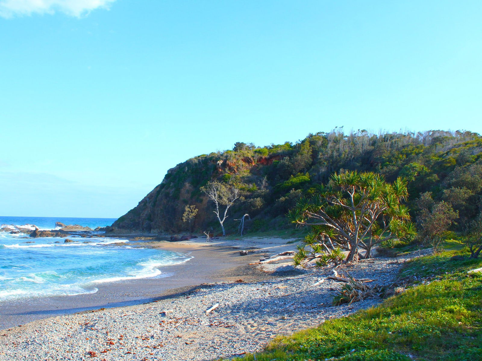 The Sandon NSW SA Accommodation