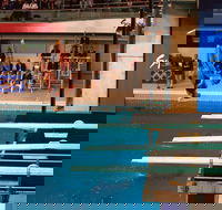 Dive Into History at Sydney Olympic Park Aquatic Centre - SA Accommodation