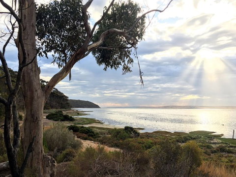 Fish Cannery Walking Trail - SA Accommodation 0