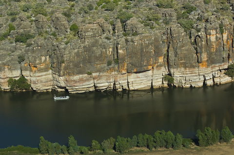 Fitzroy River - SA Accommodation 0