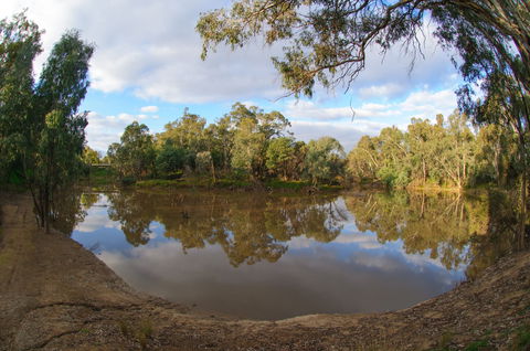 Gemmill Swamp Wildlife Reserve - SA Accommodation 1