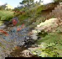 Gold Panning Deep Creek - SA Accommodation