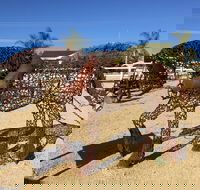 Gundersen Reserve - SA Accommodation