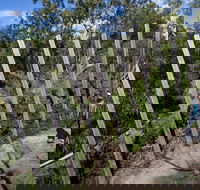 Herring Island Environmental Sculpture Park - SA Accommodation