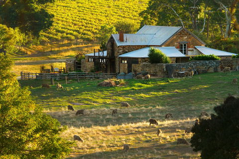 Hutton Vale Farm - SA Accommodation 1
