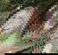 Koala Park Sanctuary - SA Accommodation