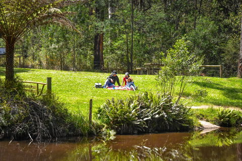 Kurth Kiln Regional Park - SA Accommodation 1