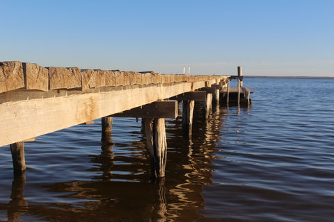 Lake Bonney - SA Accommodation 1