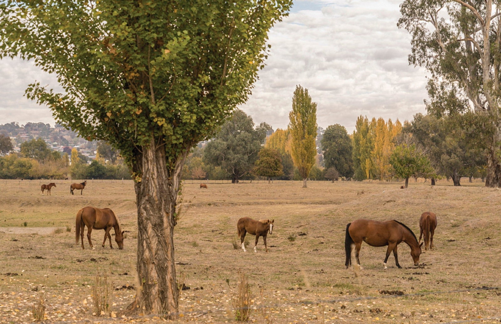 Lemington NSW SA Accommodation