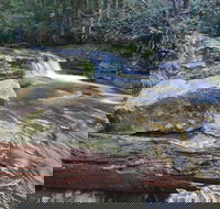 Liffey Falls Reserve - SA Accommodation