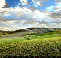 Lions Park Hodgson Vale - SA Accommodation