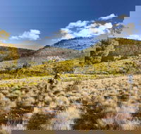 Little Mountain Walking Track - SA Accommodation