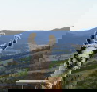 Llama Walks Tasmania - SA Accommodation