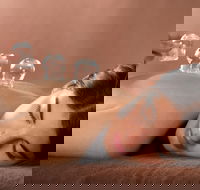 Lotus Blossom - SA Accommodation