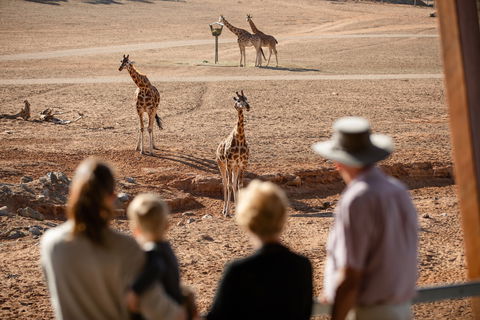 Monarto Safari Park - SA Accommodation 0
