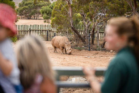 Monarto Safari Park - SA Accommodation 1