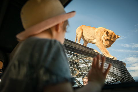 Monarto Safari Park - SA Accommodation 2