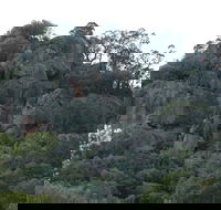 Mount Yarrowyck Nature Reserve - SA Accommodation
