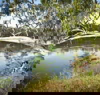 Murray Valley National Park - SA Accommodation