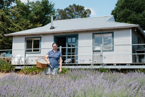 Nannup Lavender Farm - SA Accommodation 1