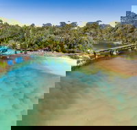 Reflections Boambee Creek Reserve - SA Accommodation