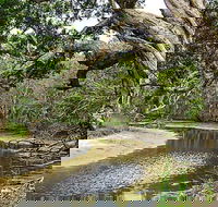 Saltwater National Park - SA Accommodation