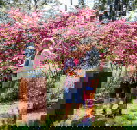 Sculpture at Petana - SA Accommodation