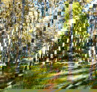 Square Head Track 1 - SA Accommodation