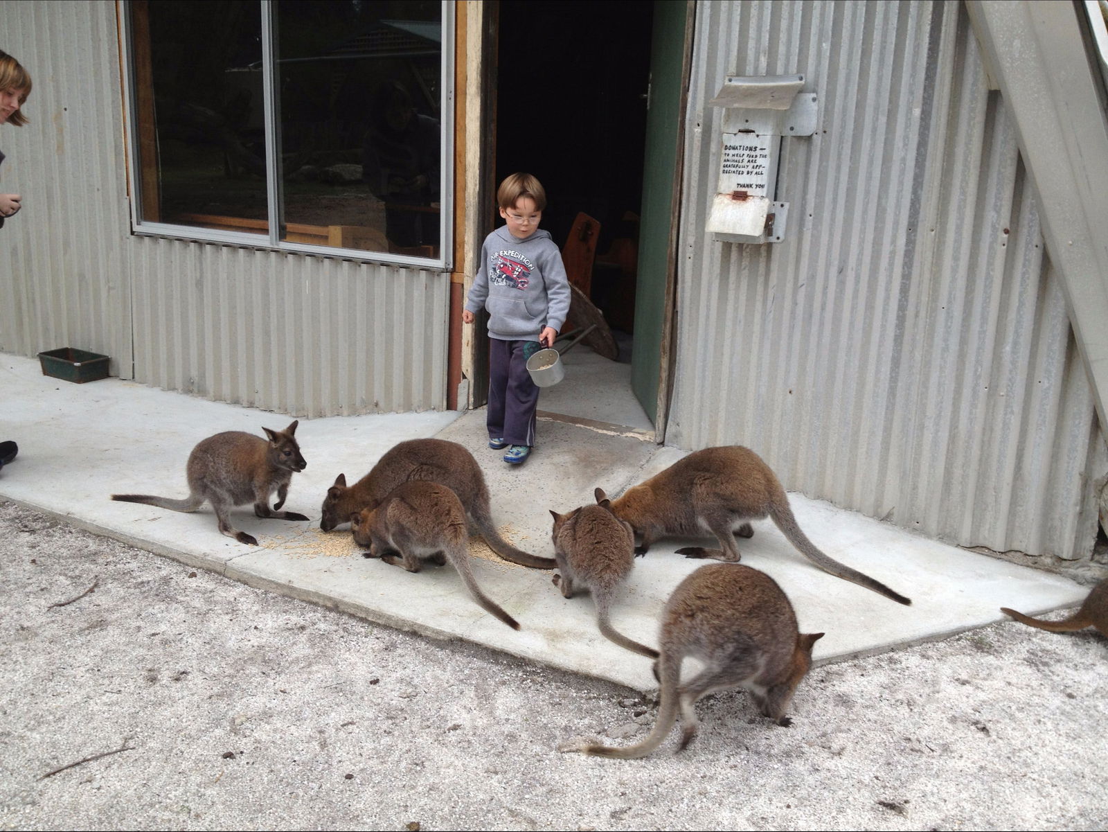 Bass Strait Islands TAS SA Accommodation