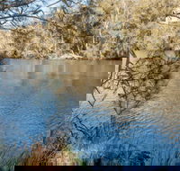 Wandandian Creek picnic area - SA Accommodation