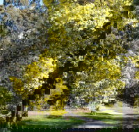 Wattle Park - SA Accommodation