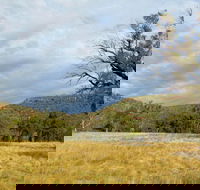 Weddin Mountains National Park - SA Accommodation