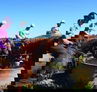 Western Plains Riding Centre - Open - SA Accommodation