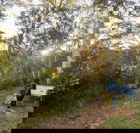 Yarrangobilly Caves  River walk - SA Accommodation