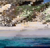 Australian Sea Lions - SA Accommodation