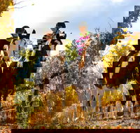 Billabong Ranch Adventure Park - SA Accommodation