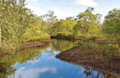 Canoe Evans River Paddle Route - SA Accommodation 0