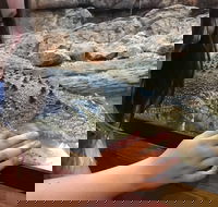 Canberra Reptile Zoo - SA Accommodation