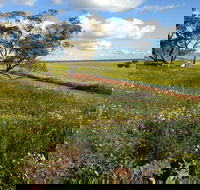 Coorow Wildflower Drive - SA Accommodation