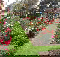 Cowra Rose Garden - SA Accommodation