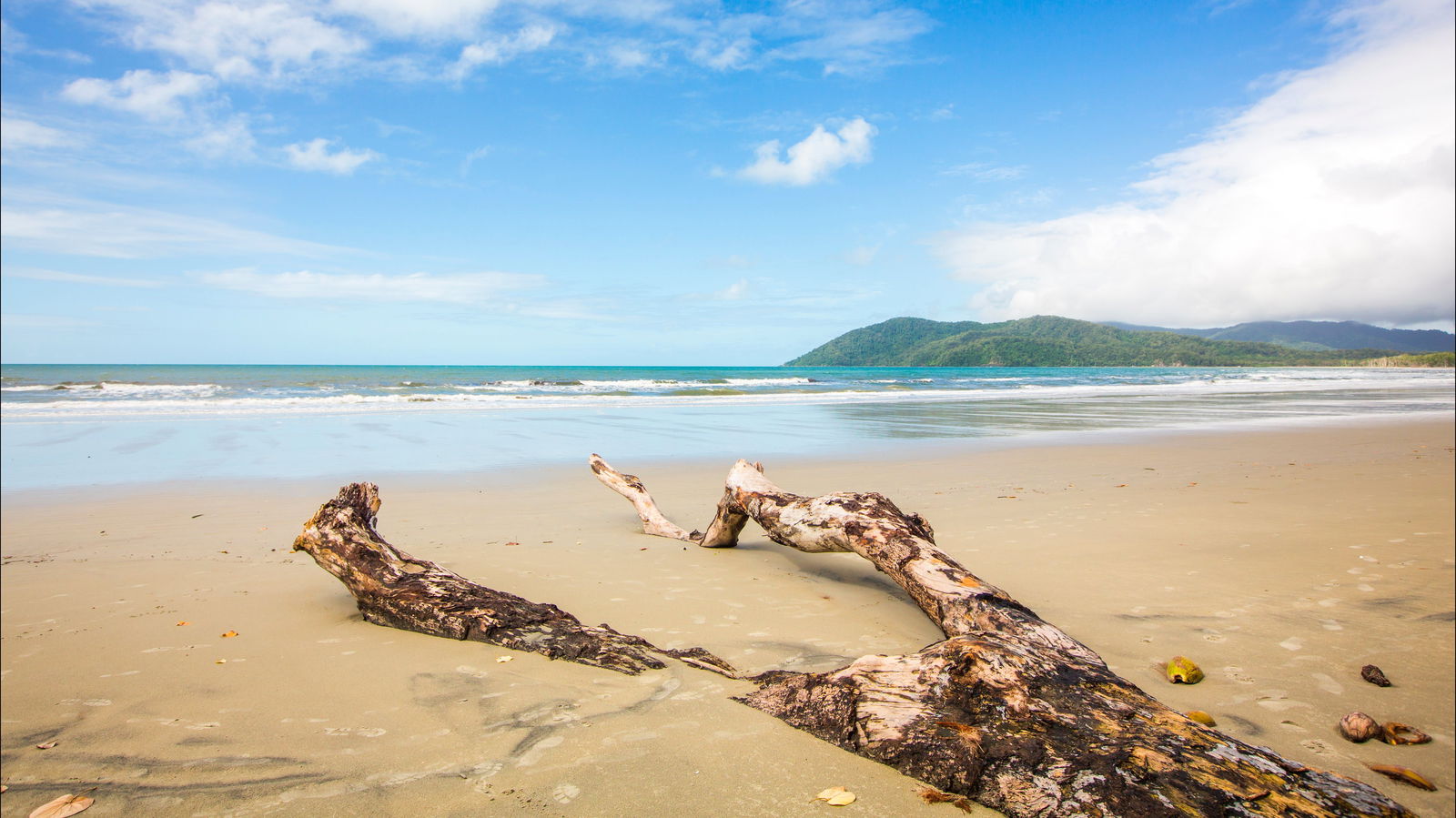 Cow Bay QLD SA Accommodation