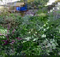 Down to Earth Permaculture - SA Accommodation