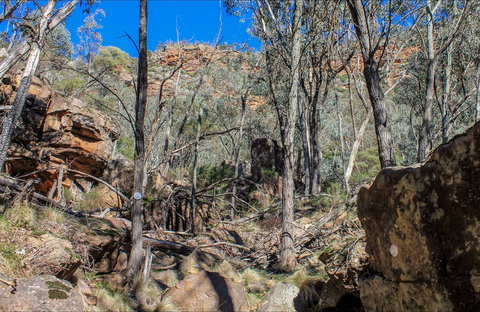 Eualdrie Walking Track - SA Accommodation 0