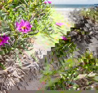 Fort Bribie - SA Accommodation
